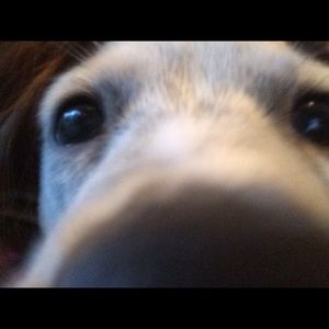 Meet your Posher, Mikayla